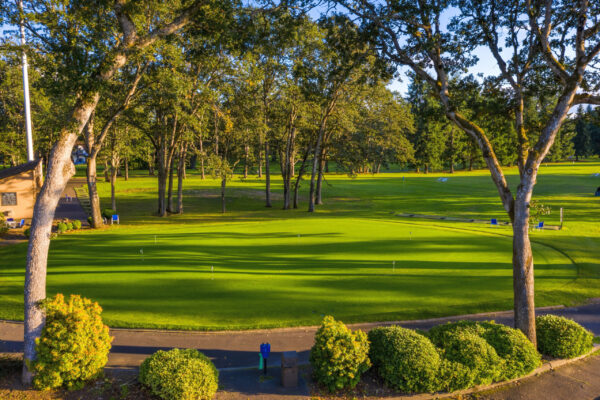 Oakbrook Golf Club, Putting Green, Centioli 2019